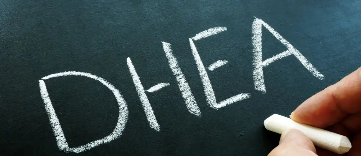 DHEA Powder.jpg